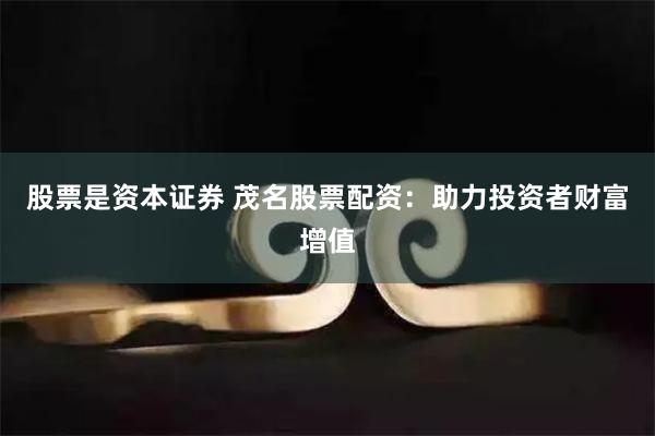 股票是资本证券 茂名股票配资：助力投资者财富增值
