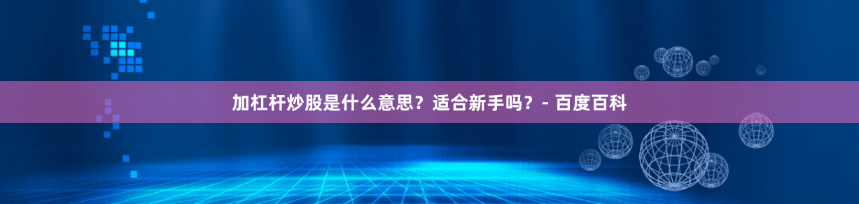 加杠杆炒股是什么意思？适合新手吗？- 百度百科